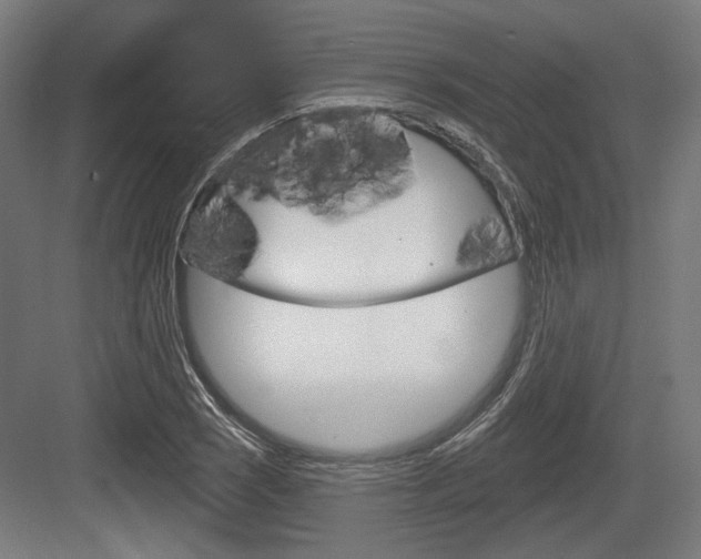 X0000083991121200702160723