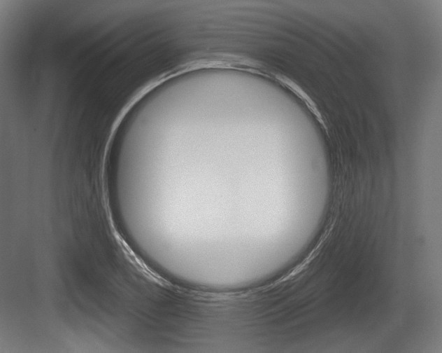X0000083991122200702160724