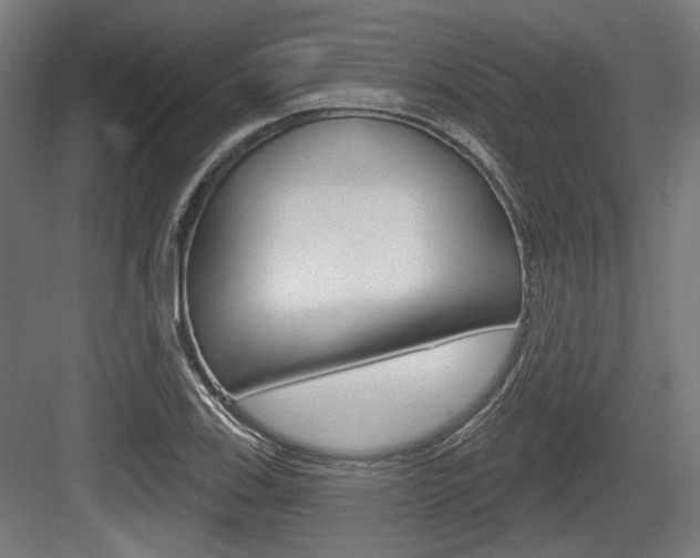 X0000083991123200702160724