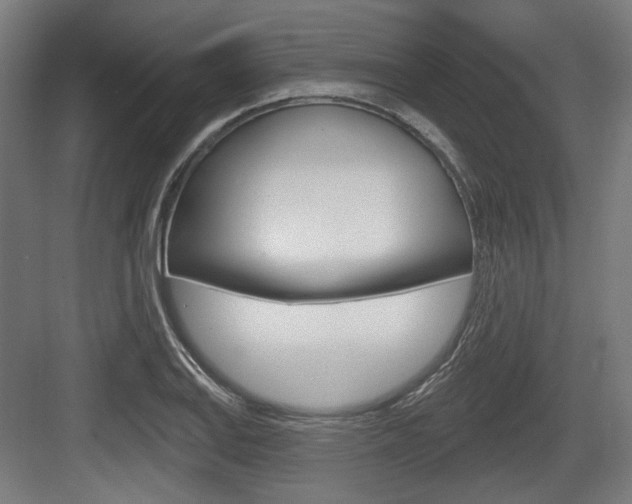 X0000083991127200702160724
