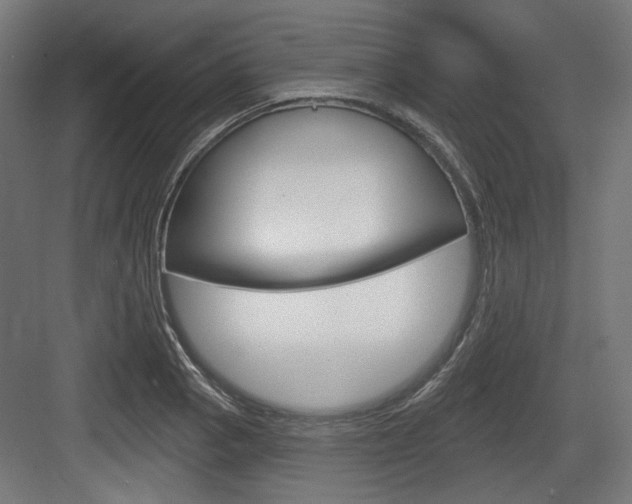 X0000083991129200702160724