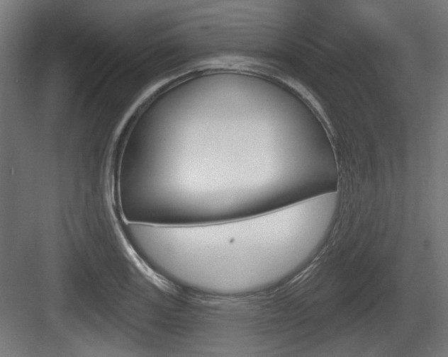X0000083991131200702160724