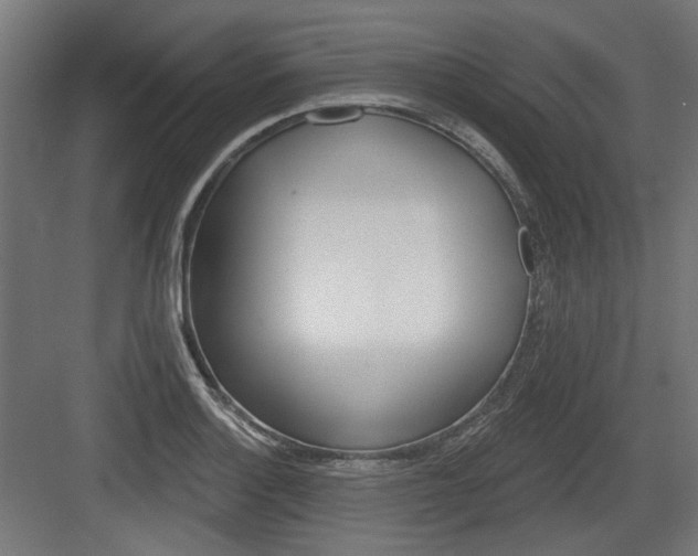 X0000083991132200702160724