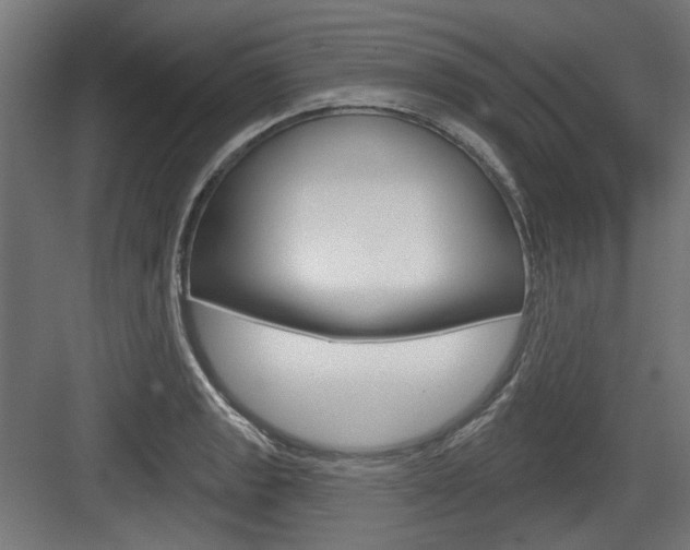 X0000083991133200702160724