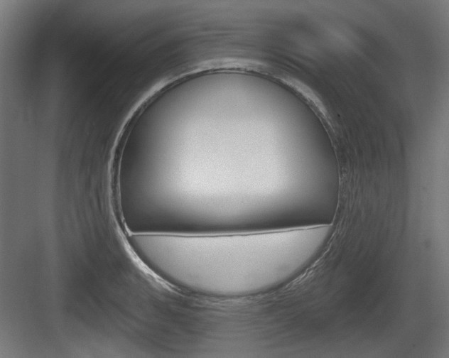 X0000083991135200702160724