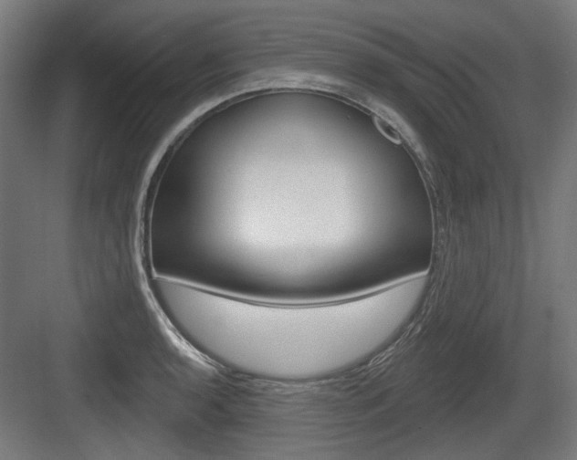 X0000083991136200702160724