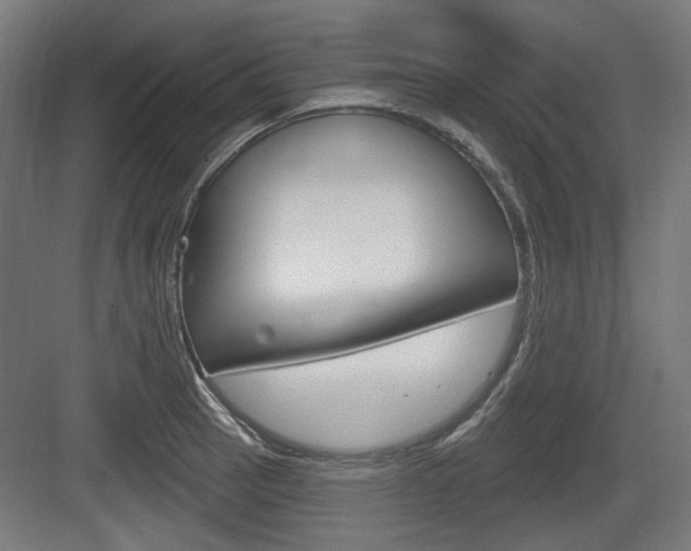 X0000083991137200702160724