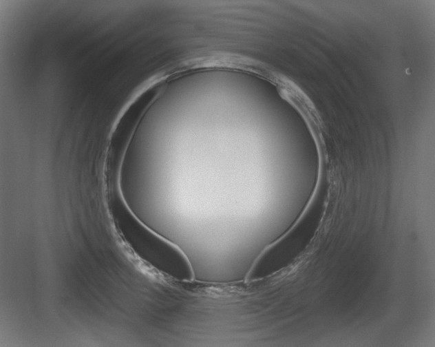 X0000083991138200702160724