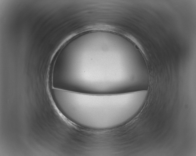 X0000083991139200702160724