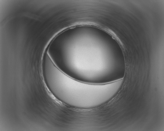 X0000083991140200702160724