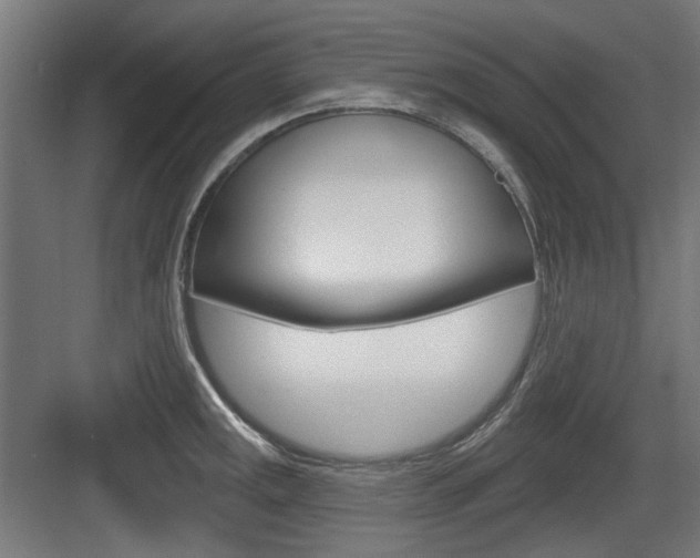 X0000083991141200702160724