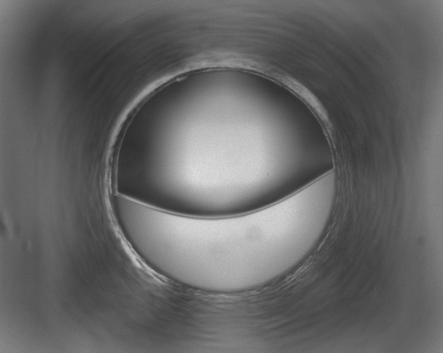 X0000083991144200702160724