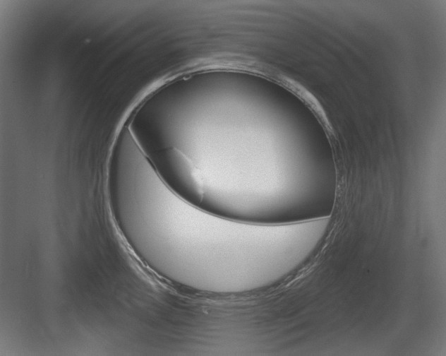 X0000083991146200702160724