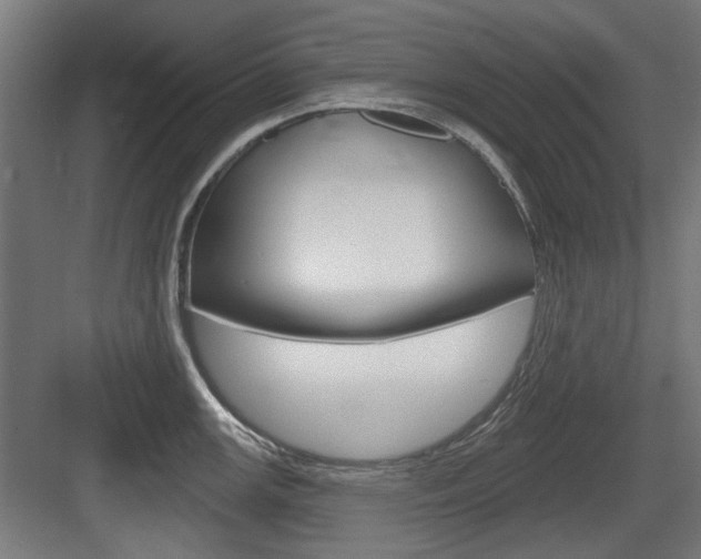 X0000083991147200702160724