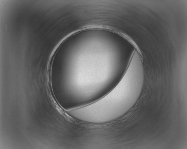X0000083991148200702160724