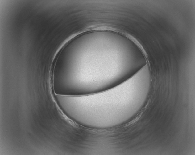 X0000083991149200702160724
