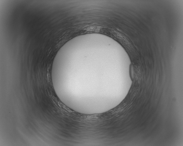 X0000083991154200702160723