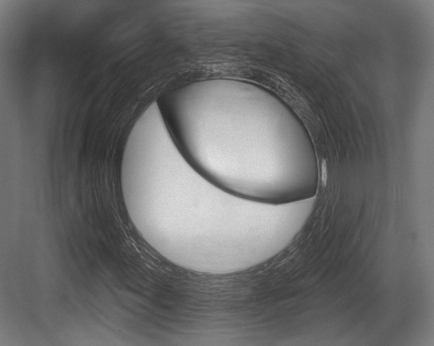 X0000083991155200702160723
