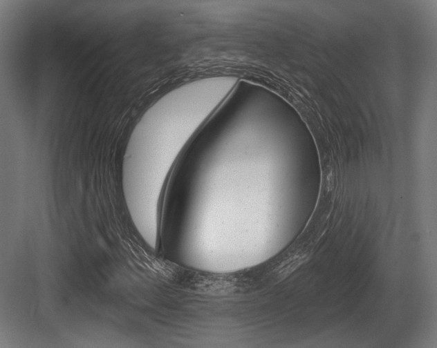X0000083991156200702160723
