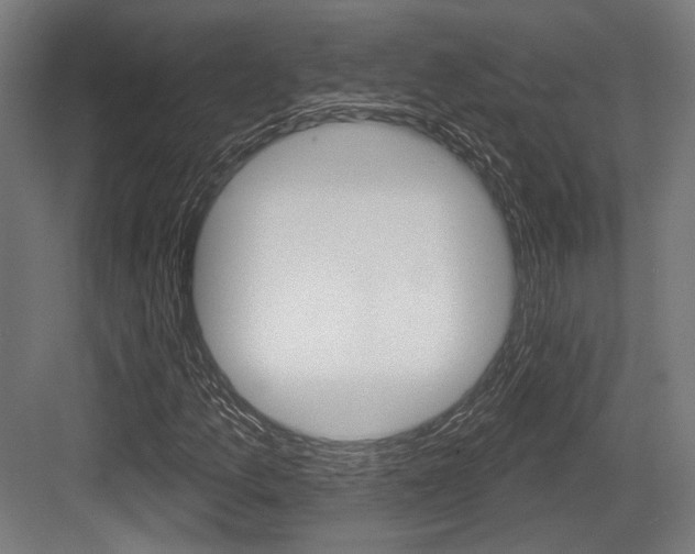 X0000083991157200702160723