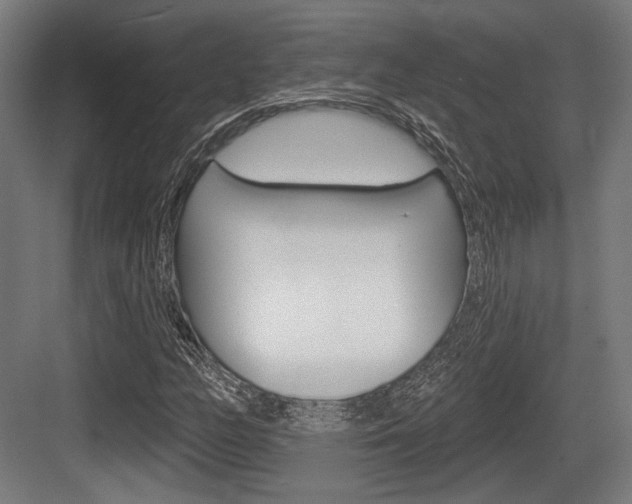 X0000083991158200702160723