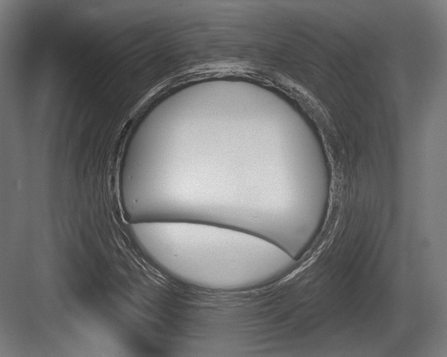X0000083991162200702160723