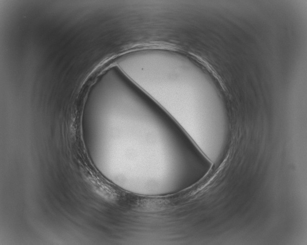 X0000083991163200702160723