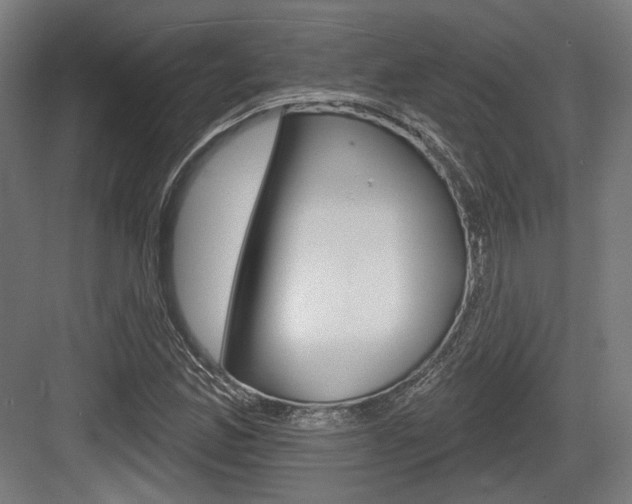 X0000083991165200702160723