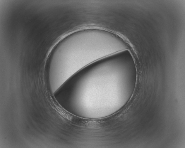 X0000083991167200702160723