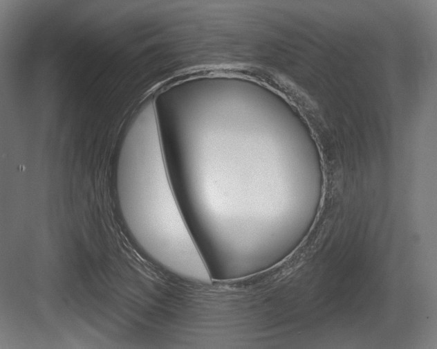 X0000083991169200702160723