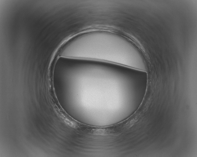 X0000083991172200702160723