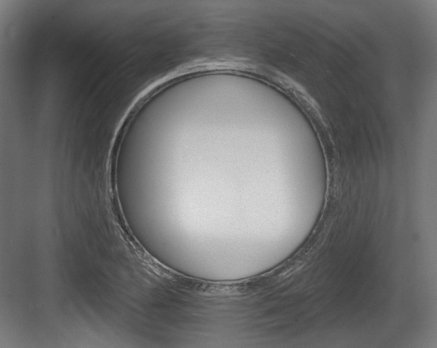 X0000083991174200702160723