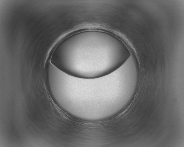 X0000083991175200702160723