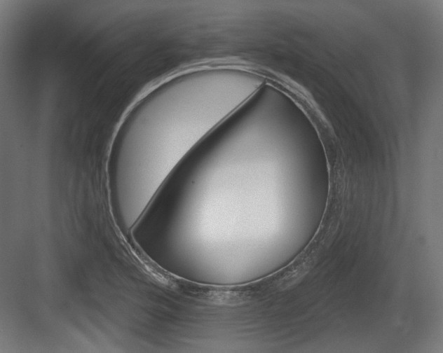 X0000083991176200702160723