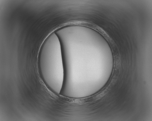 X0000083991178200702160723