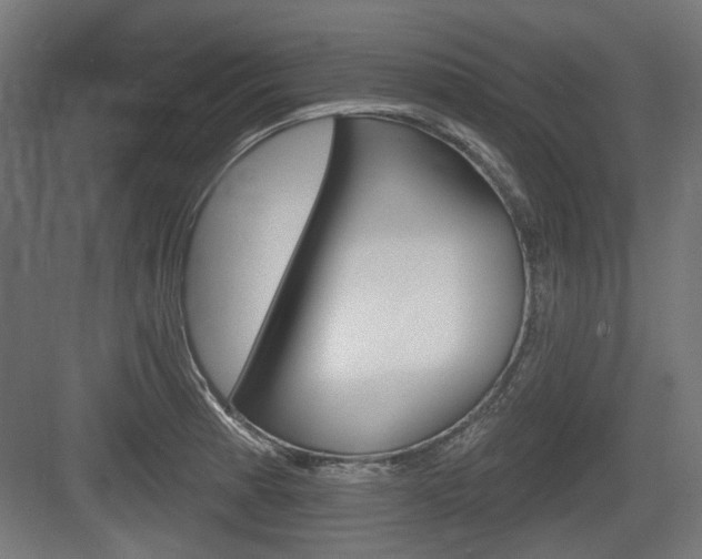 X0000083991185200702160723