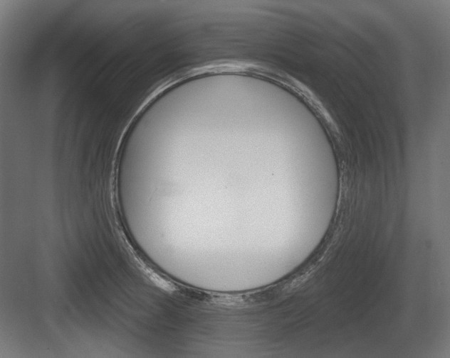 X0000083991186200702160723