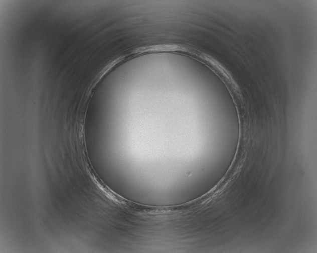 X0000083991193200702160723