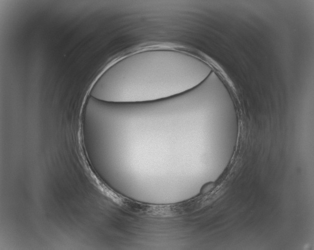 X0000083991194200702160723