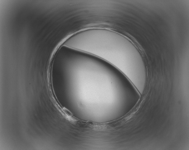 X0000083991196200702160722