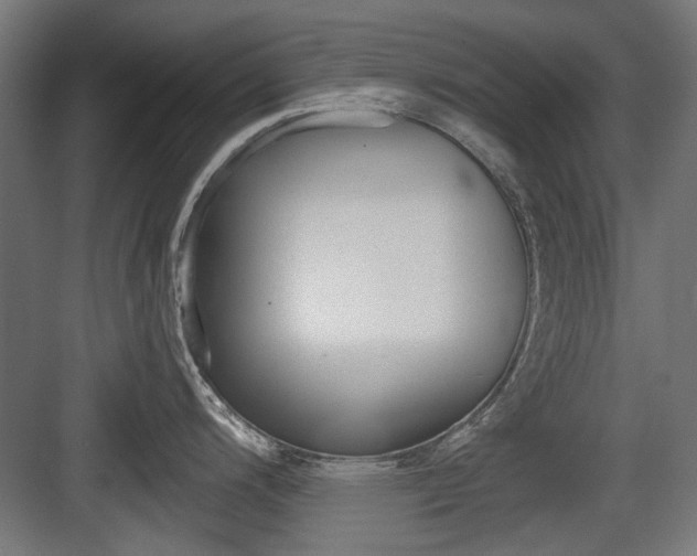 X0000083991200200702160722