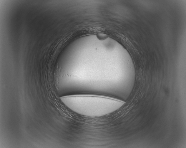X0000083991201200702160722
