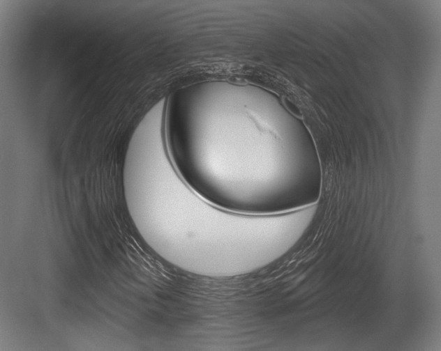 X0000083991202200702160722