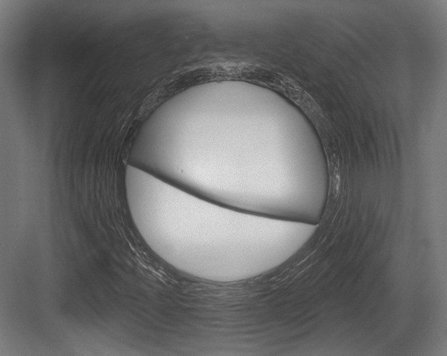 X0000083991204200702160722