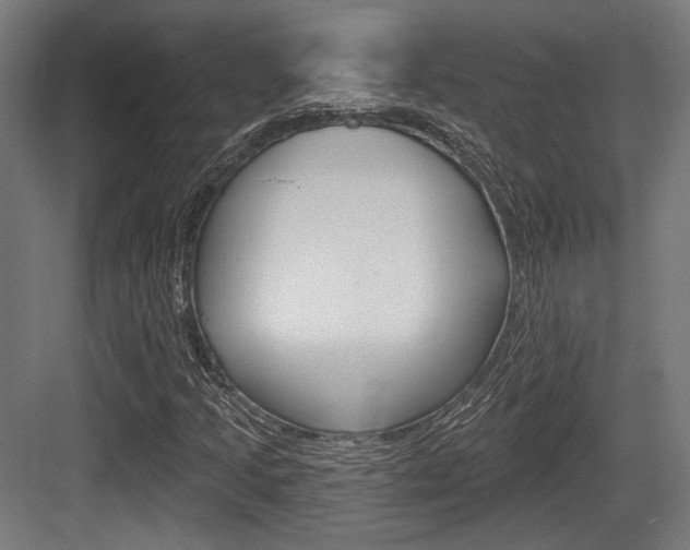 X0000083991205200702160722