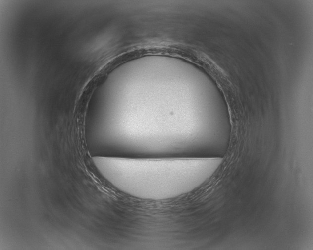 X0000083991208200702160722