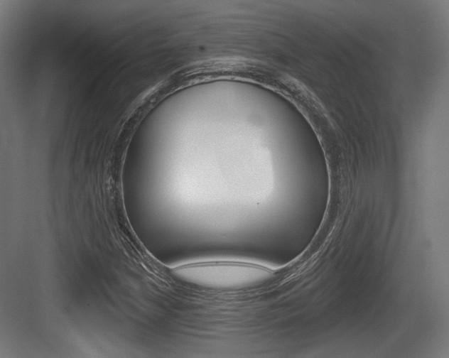 X0000083991210200702160722