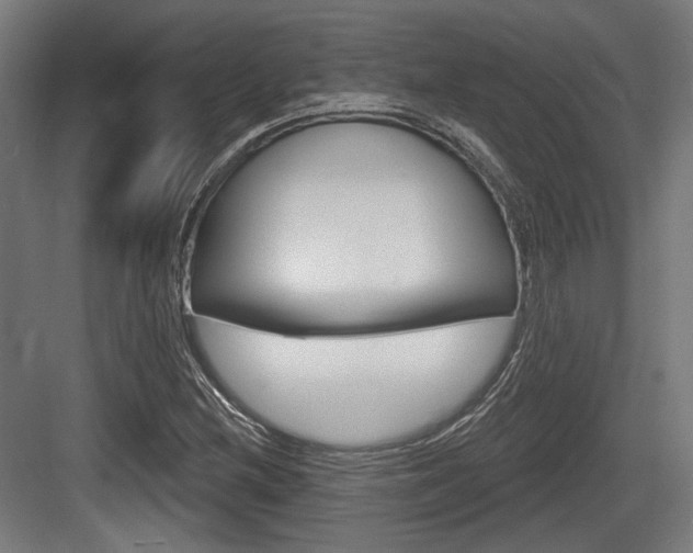 X0000083991212200702160722