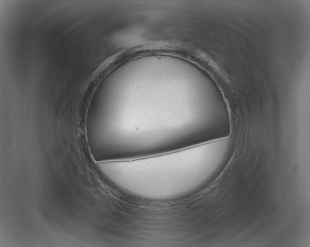 X0000083991213200702160722