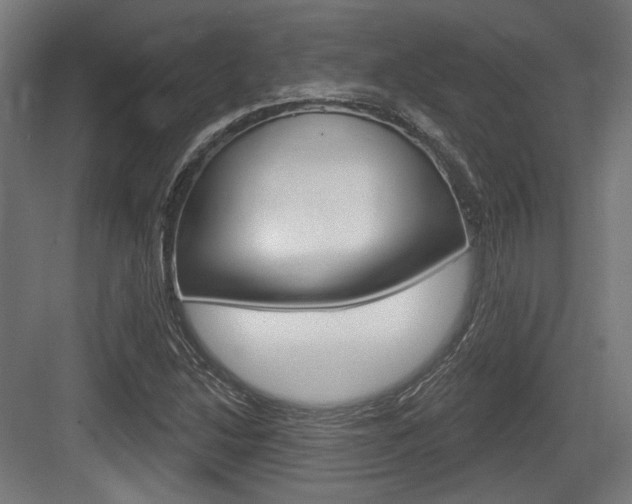 X0000083991214200702160722